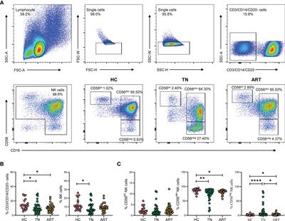 Immune Dysfunctions of CD56neg NK Cells Are Associated With HIV-1 Disease Progression
